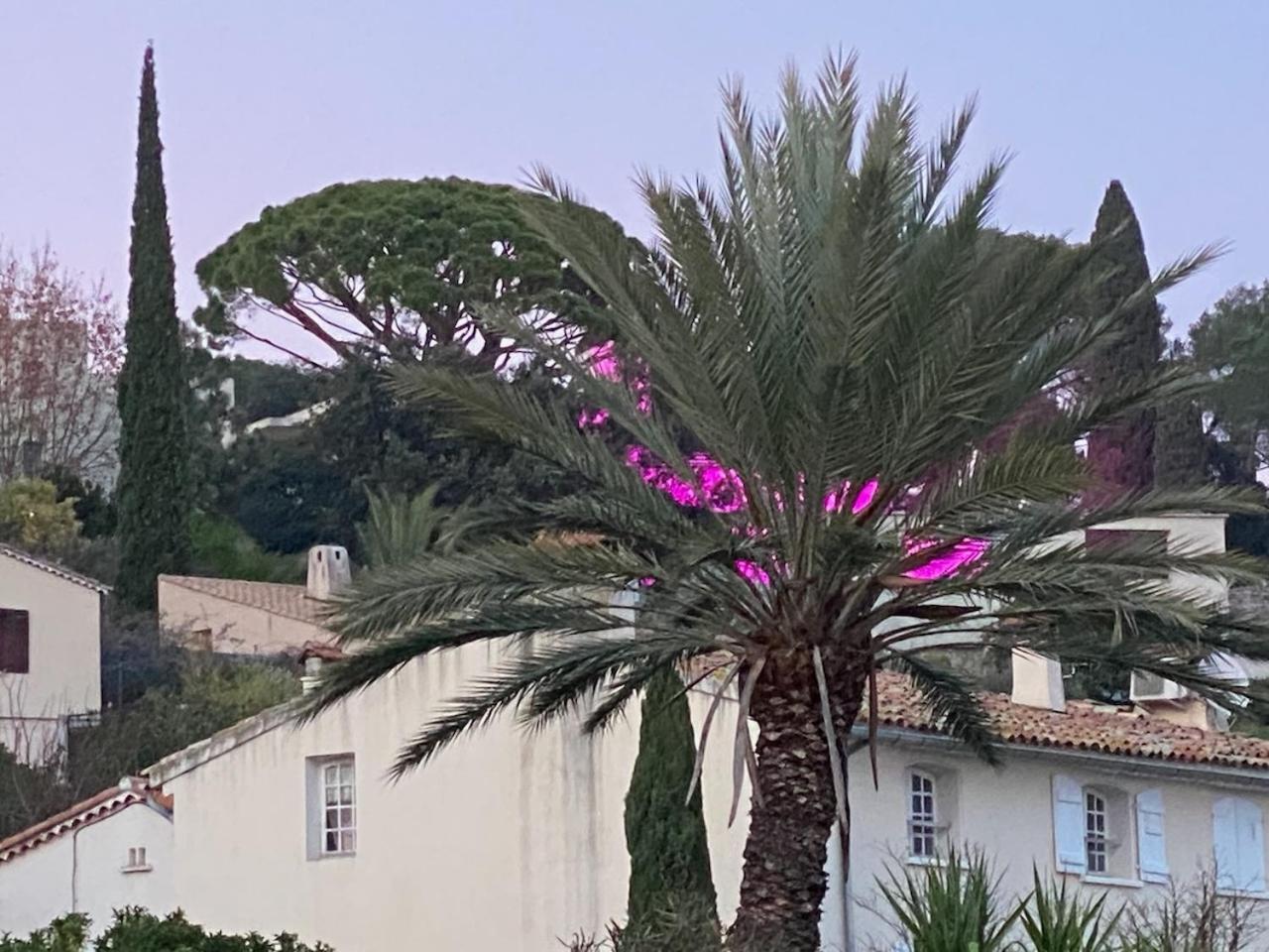 La Suite Sainte Claire Hyeres Exterior photo